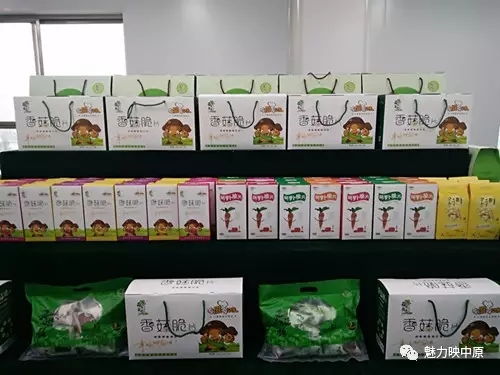 書法藝術(shù)家閆云一行臨泌陽億健食品公司觀摩