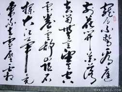 天許做閑人 現代書法精品