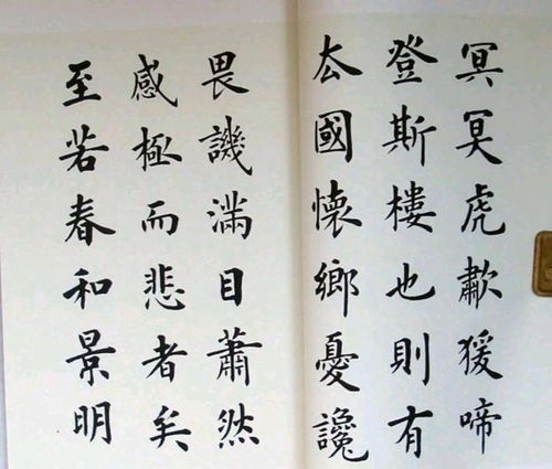 當代楷書精品,盧中南楷書 岳陽樓記 ,嚴謹端莊,險峻沉穩