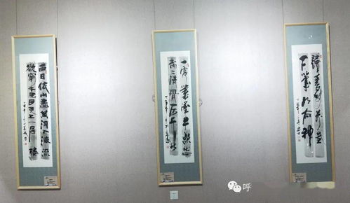 呼倫貝爾市45件作品入選全區(qū)殘疾人及殘疾人工作者文創(chuàng)產(chǎn)品 書法 繪畫 攝影展